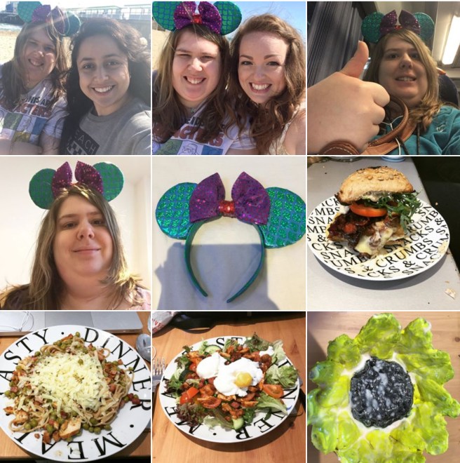 Sunflower Food Ariel Ears April Brogan Sam